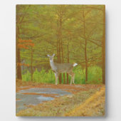 DSCF4041.JPG フォトプラーク (正面)