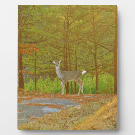 DSCF4041.JPG フォトプラーク (正面)