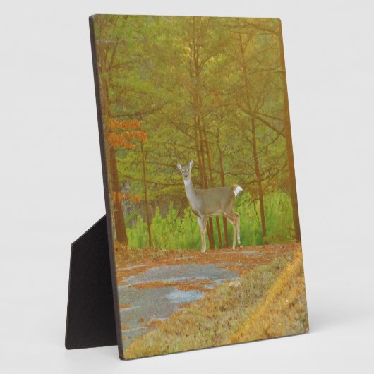 DSCF4041.JPG フォトプラーク (側面)