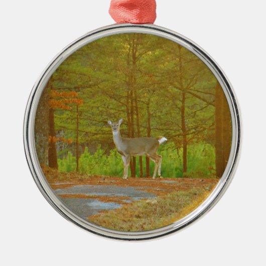 DSCF4041.JPG メタルオーナメント (正面)