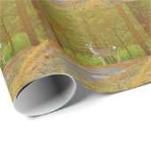 DSCF4041.JPG ラッピングペーパー (ロールコーナー)