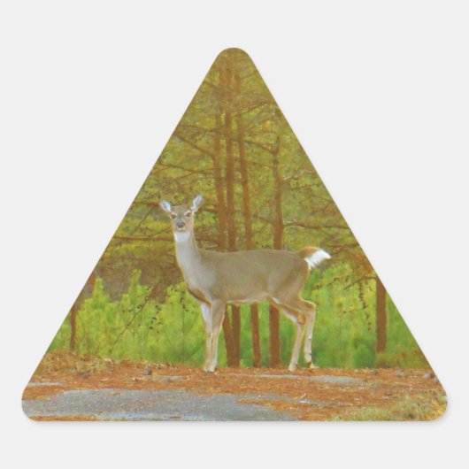 DSCF4041.JPG 三角形シール (正面)