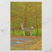 DSCF4041.JPG 便箋 (正面)