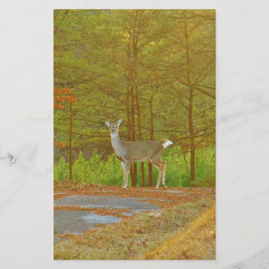 DSCF4041.JPG 便箋 (正面)