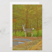 DSCF4041.JPG 便箋 (正面/裏面)