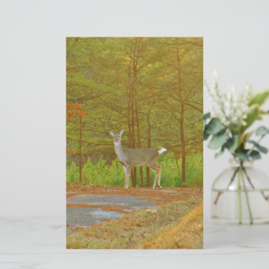 DSCF4041.JPG 便箋 (スタンド正面)