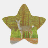 DSCF4041.JPG 星シール (正面)