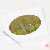 DSCF4041.JPG 楕円形シール (封筒)