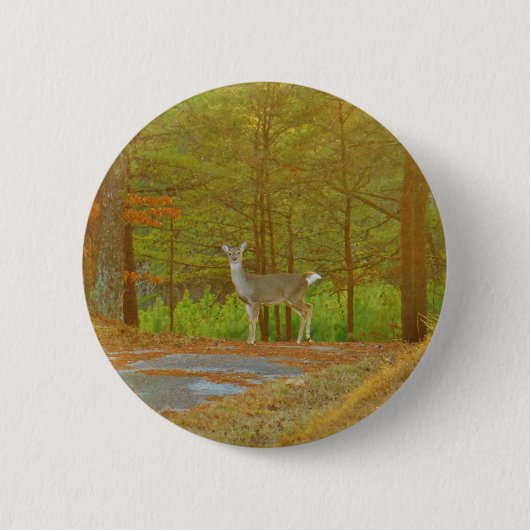 DSCF4041.JPG 缶バッジ (正面)