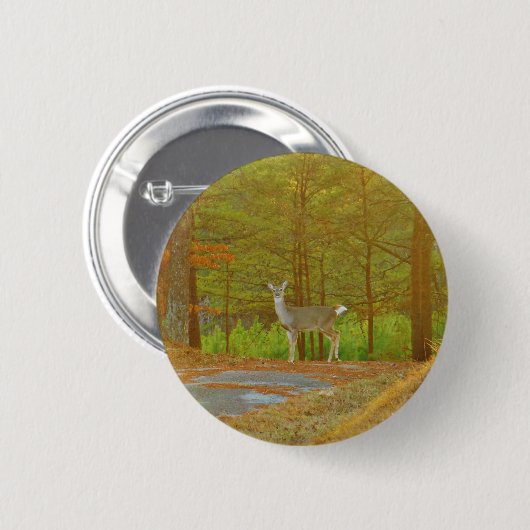 DSCF4041.JPG 缶バッジ (正面&裏面)