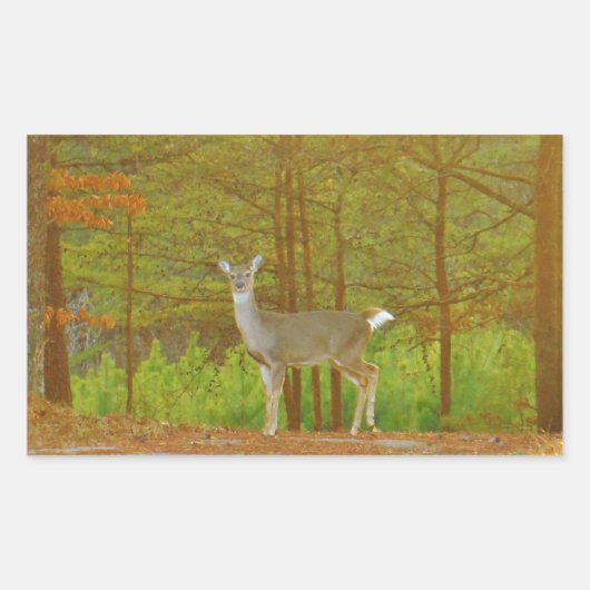 DSCF4041.JPG 長方形シール (正面)