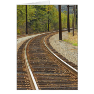 DSCF6914の~inあなたのwords~