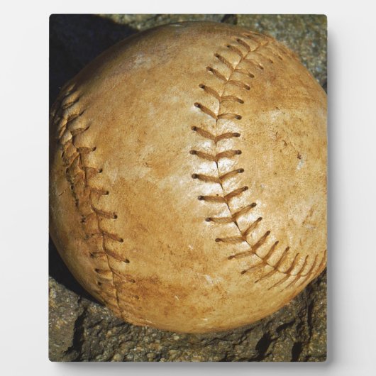 DSCF7523.JPG フォトプラーク (正面)