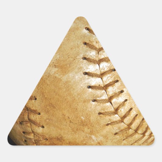 DSCF7523.JPG 三角形シール (正面)