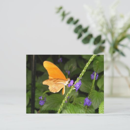 DSCF9699 ポストカード (スタンド正面)