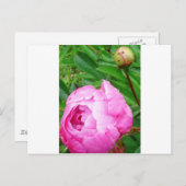 DSCI0964.JPG ポストカード (正面/裏面)