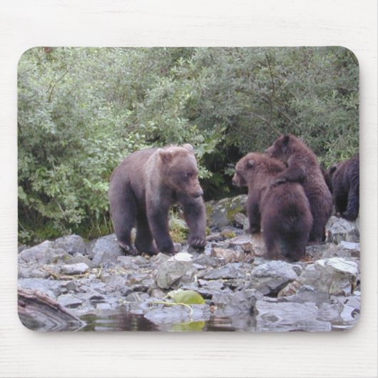 DSCN0088 マウスパッド (正面)