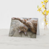 DSCN0119 カード (黄色い花)