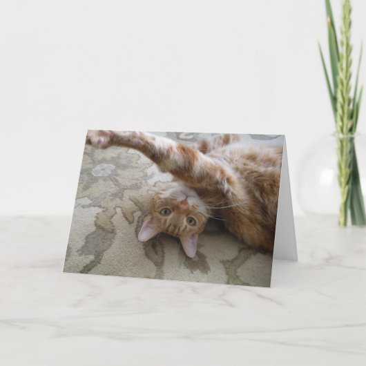 DSCN0119 カード (正面)