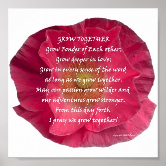 DSCN0136 ポスター (正面)