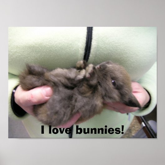 DSCN0356、私はバニーが大好き! ポスター (正面)