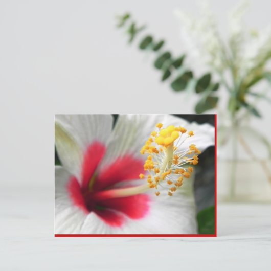 DSCN0387 ポストカード (スタンド正面)