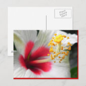 DSCN0387 ポストカード (正面/裏面)