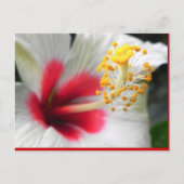 DSCN0387 ポストカード (正面)