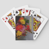 DSCN0684_Edited.JPG トランプ (裏面)