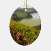 DSCN4558.JPGアゾレス、ポルトガル セラミックオーナメント (右)