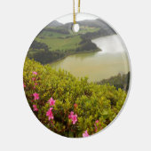 DSCN4558.JPGアゾレス、ポルトガル セラミックオーナメント (左)