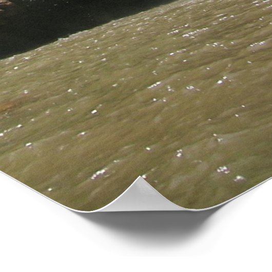 DSCN9348、moroccocarp.com ポスター (角)