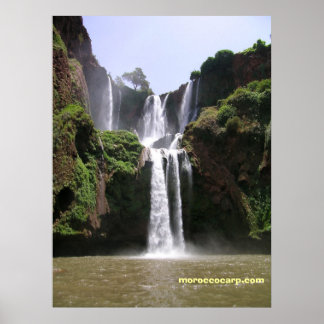 DSCN9348、moroccocarp.com ポスター