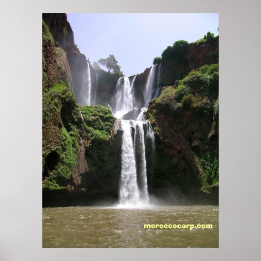 DSCN9348、moroccocarp.com ポスター (正面)