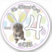 DSKでのNMD - 2023年4月バッジステッカー シール (正面)