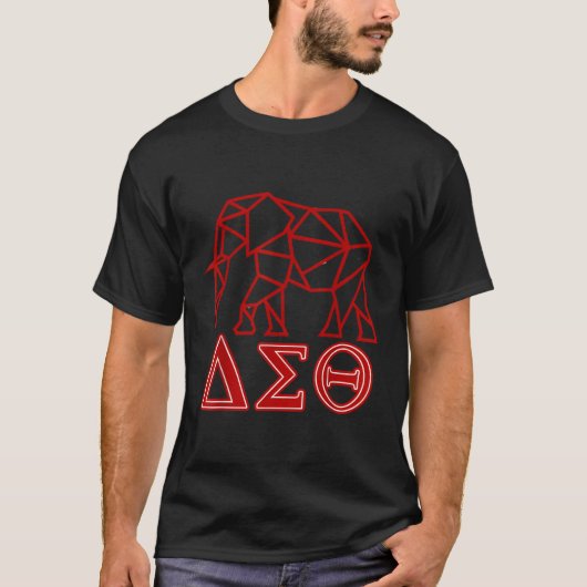 Dstソロ Tシャツ (正面)