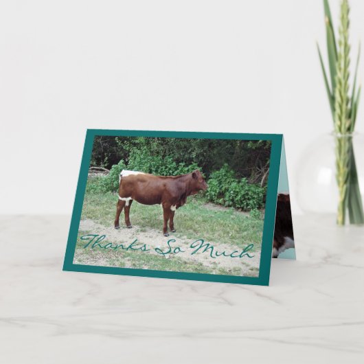 Dstaありがとうカスタマイズ サンキューカード (正面)