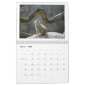 DUの2010年の写真撮影のグループのカレンダー カレンダー (3月 2026)