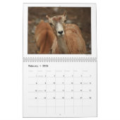 DUの2010年の写真撮影のグループのカレンダー カレンダー (2月 2026)