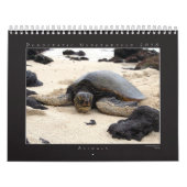 DUの2010年の写真撮影のグループのカレンダー カレンダー (カバー)