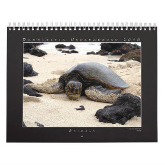 DUの2010年の写真撮影のグループのカレンダー カレンダー