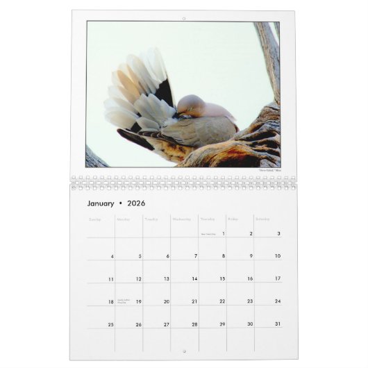 DUの2010年の写真撮影のグループのカレンダー カレンダー (1月 2026)