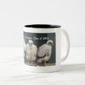 Du Bois Falconsのマグ2013年 ツートーンマグカップ (正面右)