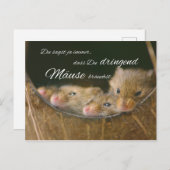 Du sagst ja immer, dass Du dringend Mäuse brauchst ポストカード (正面/裏面)