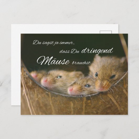 Du sagst ja immer, dass Du dringend Mäuse brauchst ポストカード (正面/裏面)