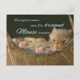 Du sagst ja immer, dass Du dringend Mäuse brauchst ポストカード