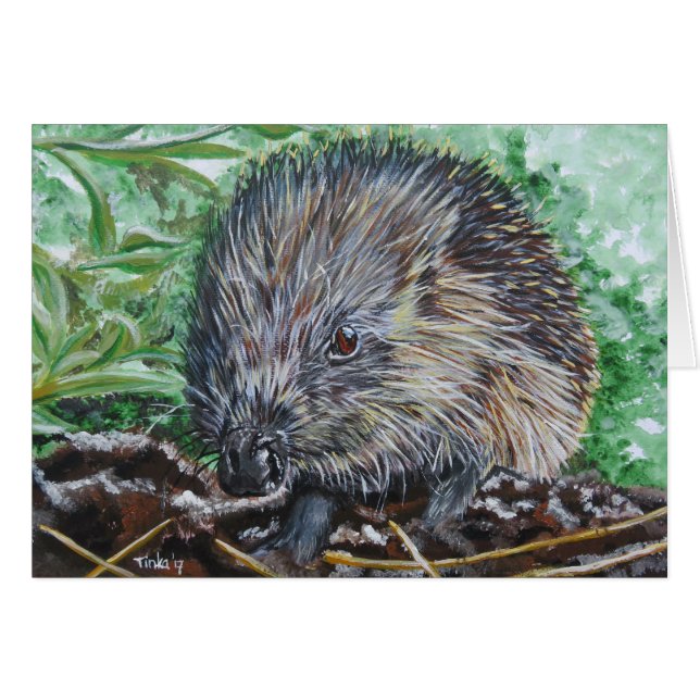 Dubbele kaart Egel. (正面横)