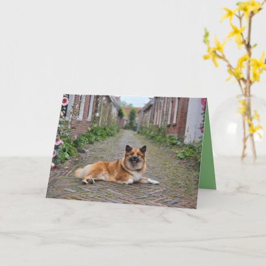 Dubbele wenskaart カード (黄色い花)