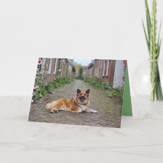 Dubbele wenskaart カード (正面)