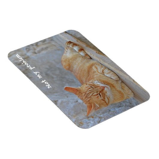 Dubrovnikで休んでいるTabby cat私の問題ではない！ マグネット (右側)